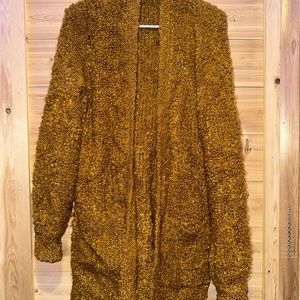 American Eagle Cardigan